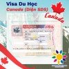 VISA DU HỌC CANADA: SUNSHINE VIETNAM CHÚC MỪNG EM LƯƠNG TRỌNG TƯỞNG ĐƯỢC CẤP VISA DU HỌC CANADA DIỆN SDS – KHÔNG CHỨNG MINH TÀI CHÍNH VỚI IELTS 6.0 (Không yêu cầu điểm từng kỹ năng phải 6.0)